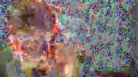 zarinamarlin online show from 04.01.26