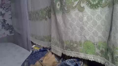zarinamarlin online show from 05.05.26