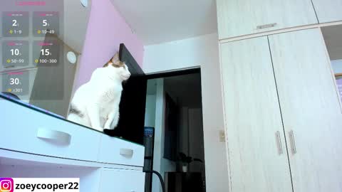 zoey  Independent model online show from 11.15.25