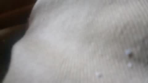 bigdickdaddy online show from 06.04.26