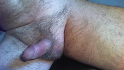 Snapshot of zokalo chatting on 02.13.26 zokalo online show from 02.13.26