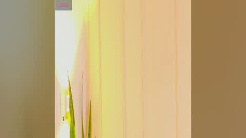 Zara online show from 07.25.26