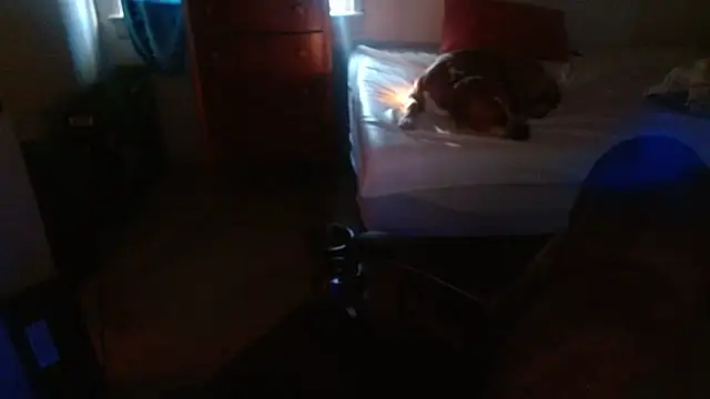 DADDY KANE8--- online show from 01.17.26