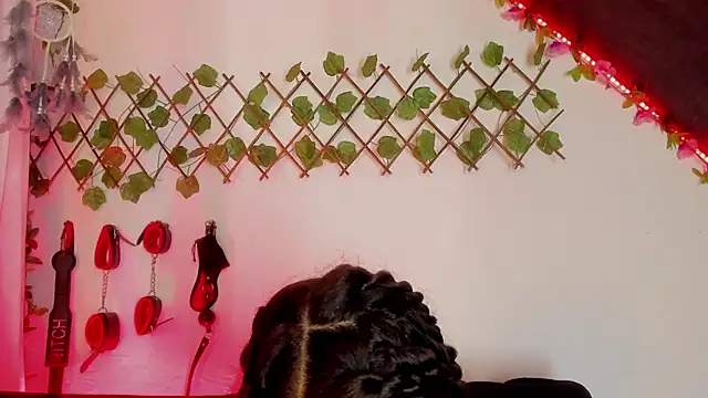 Cata green online show from 12.11.24