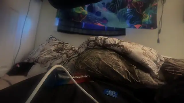 Snapshot of Fr4nk1eFFuxxx chatting on 03.21.25 Fr4nk1eFFuxxx online show from 03.21.25