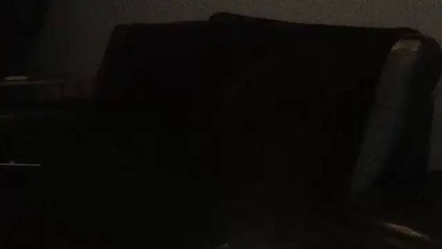 Pup Rush online show from 09.21.25