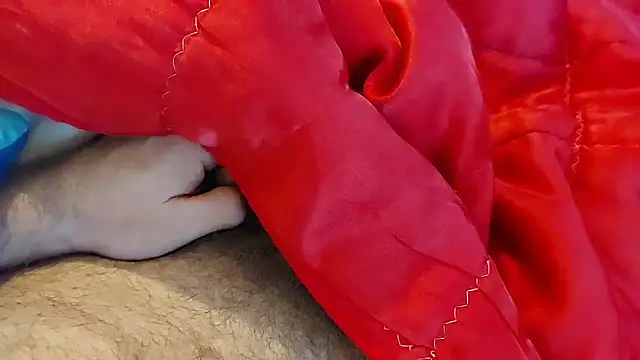 Ettarak online show from 02.08.26