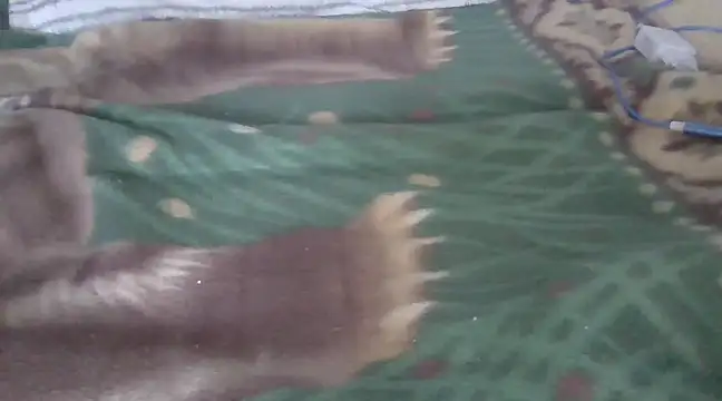 zorritasuperhot online show from 02.09.25