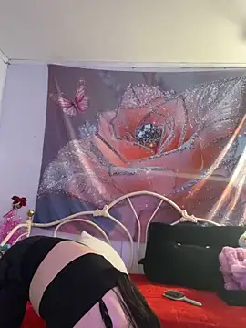 Snapshot of DominiqueX0 chatting on 02.20.26 DominiqueX0 online show from 02.20.26