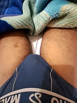 ANIMEL 2 online show from 10.10.25