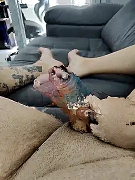 Snapshot of pete_97 chatting on 09.21.25 pete 97 online show from 09.21.25