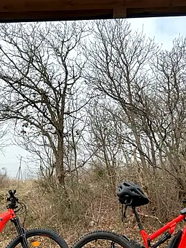 Snapshot of petrouchkaaa_ chatting on 03.02.26 petrouchkaaa online show from 03.02.26