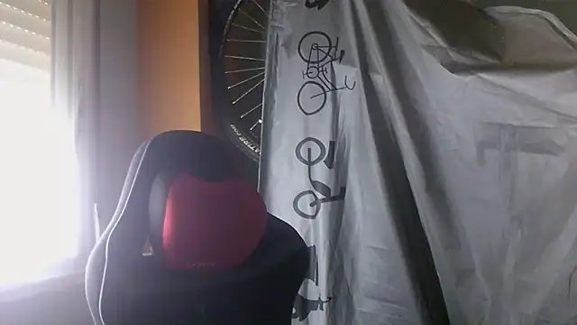 porkorossy online show from 05.28.26