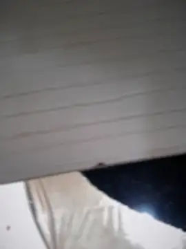 lilian prada online show from 04.12.26