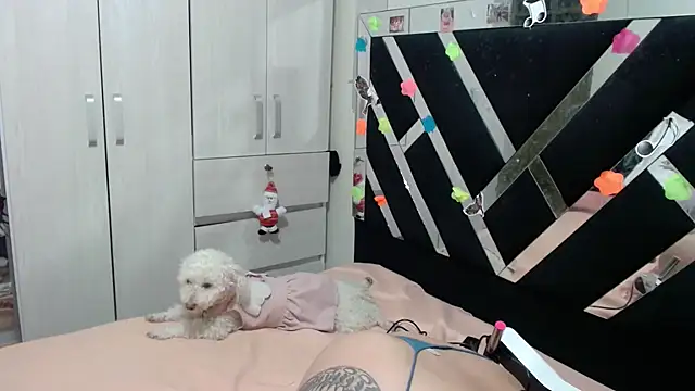 katery wok11 online show from 04.05.26