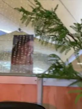 Snapshot of Emilia_Bakerr chatting on 12.15.24 Emilia Bakerr online show from 12.15.24