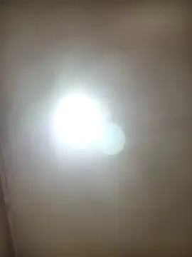 TrainedFinder5 online show from 04.18.26