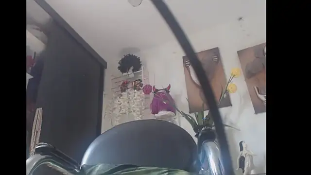 Snapshot of bardotbigcockts chatting on 02.26.25 bardotbigcockts online show from 02.26.25