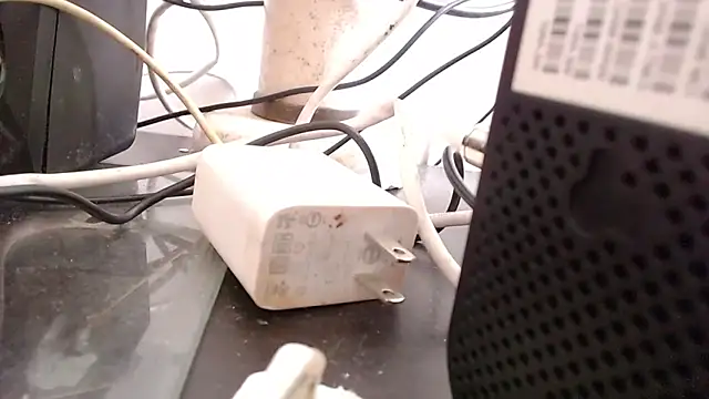 Snapshot of bardotbigcockts chatting on 09.25.25 bardotbigcockts online show from 09.25.25