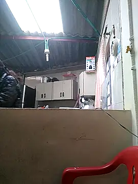 Cameron puppy online show from 03.16.26