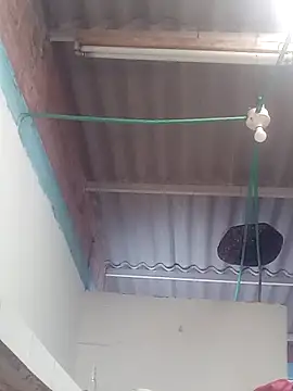 mailo bronw online show from 03.30.26