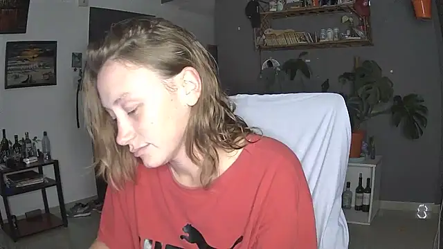 stupid babybird online show from 04.02.26