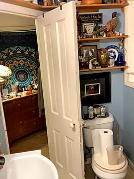 Snapshot of sexyasscougar chatting on 10.06.25 sexyasscougar online show from 10.06.25