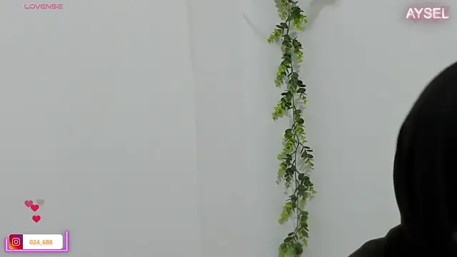 aysel elid online show from 01.08.25