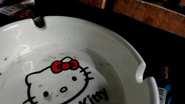 Snapshot of Nikole66_ chatting on 10.31.25 Nikole66 online show from 10.31.25