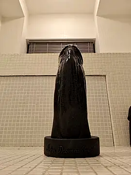 Snapshot of WhoreAnalsssxxx chatting on 03.06.25 WhoreAnalsssxxx online show from 03.06.25