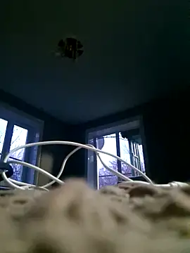 Snapshot of WhoreAnalsssxxx chatting on 03.31.26 WhoreAnalsssxxx online show from 03.31.26