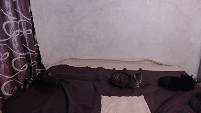 Olivia Winston online show from 04.10.26