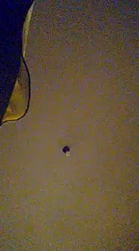 Snapshot of gala2 chatting on 02.13.25 gala2 online show from 02.13.25