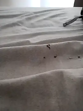 BarbudoSP35 online show from 03.15.25