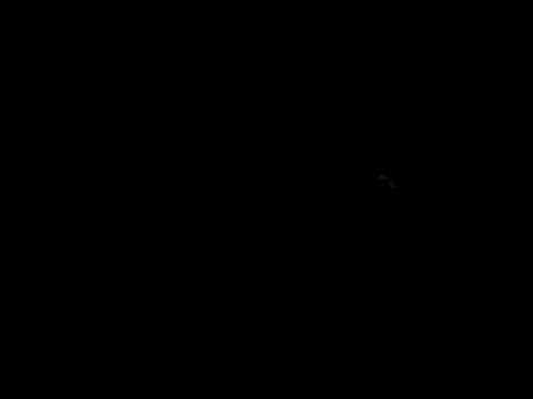 Blkstylion online show from 06.07.26