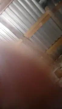 Snapshot of Moreno1813 chatting on 11.05.25 Moreno1813 online show from 11.05.25