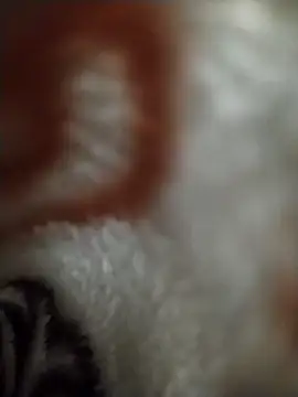 FantasticWonders9 online show from 04.12.26