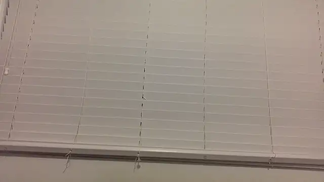 Snapshot of lilboygonewild chatting on 11.14.25 lilboygonewild online show from 11.14.25