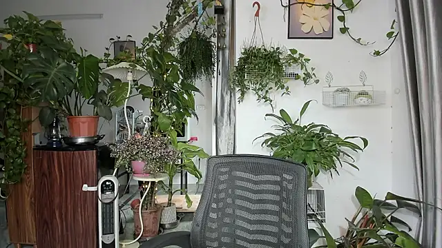 Oliver Nl online show from 03.14.26