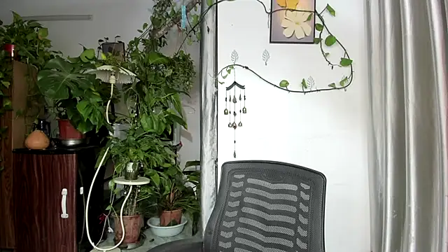 Oliver Nl online show from 05.21.26