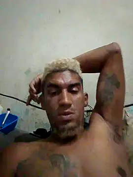 fieltoprj1 online show from 01.04.25