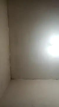 fieltoprj1 online show from 01.05.25