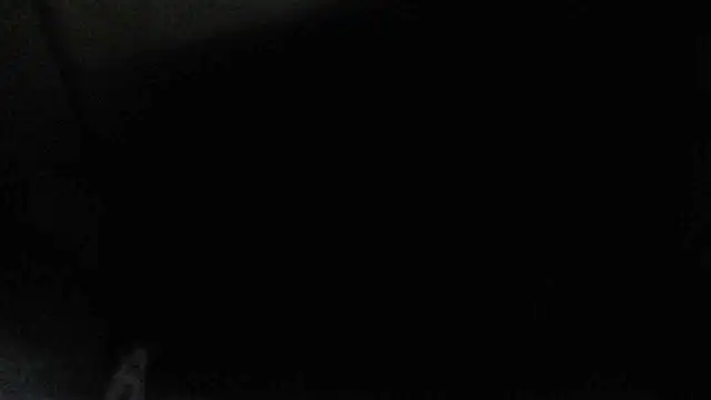 Snapshot of perversalus chatting on 12.17.24 perversalus online show from 12.17.24