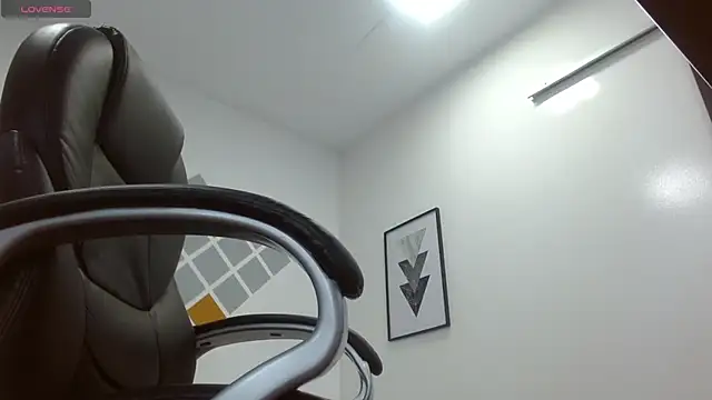 Snapshot of DmitriSanders chatting on 01.26.25 DmitriSanders online show from 01.26.25