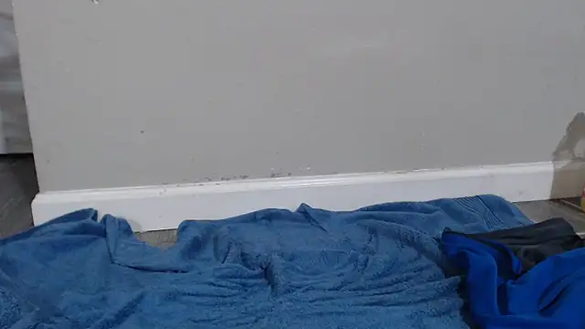 Dogz n daugthers online show from 12.17.24