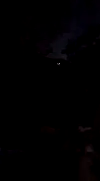 Dogz n daugthers online show from 12.21.24