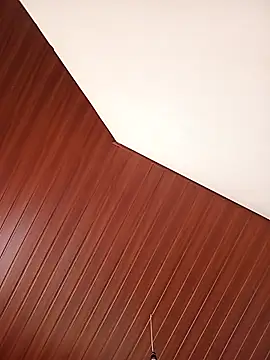 beegbo online show from 12.23.25