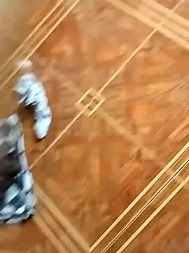 Snapshot of socrathes chatting on 02.26.26 socrathes online show from 02.26.26