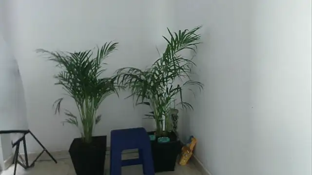 skylarhot420 online show from 03.05.25