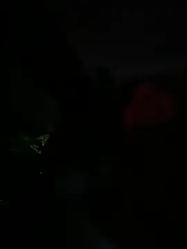 Snapshot of Brunettexio chatting on 03.13.25 Brunettexio online show from 03.13.25